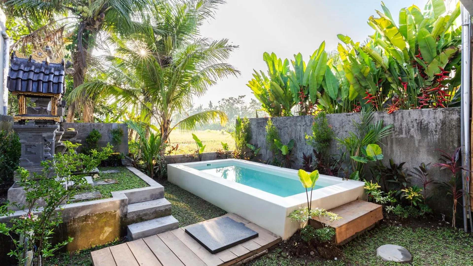 Apartment Room With Kitchen Parafrutts Ubud